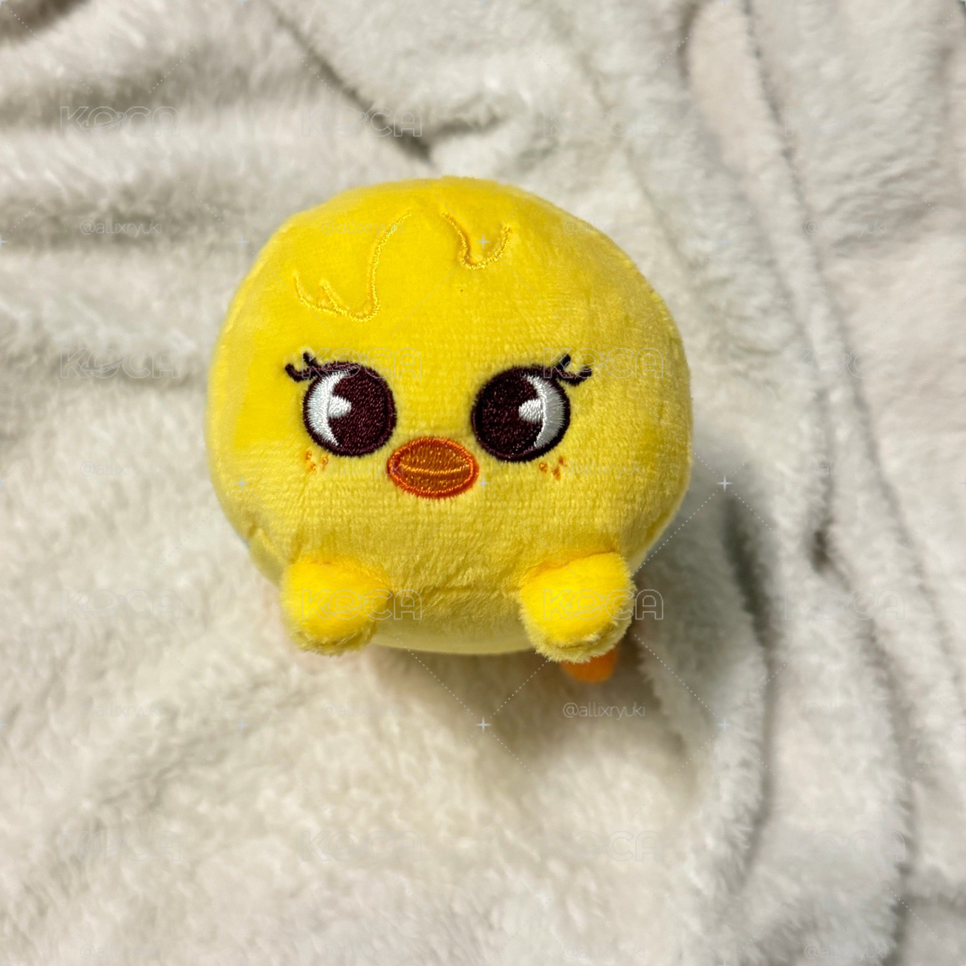 趴娃菲