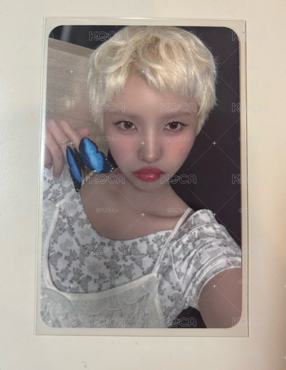小娟專區