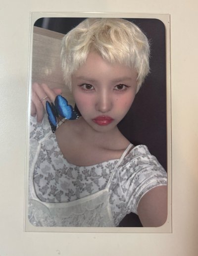 小娟專區