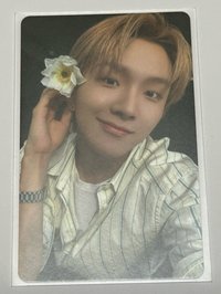 戴花6