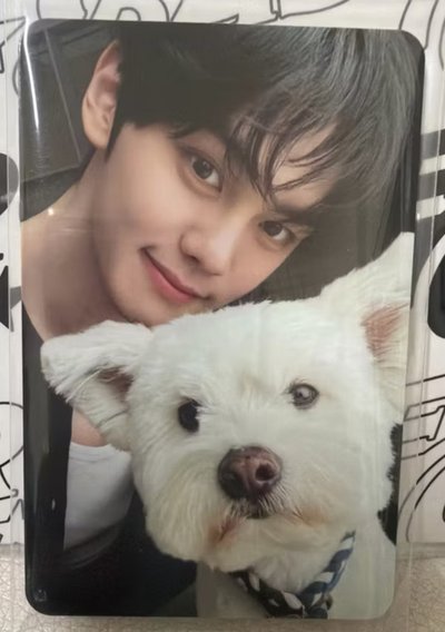 ZB1  團封 狗狗