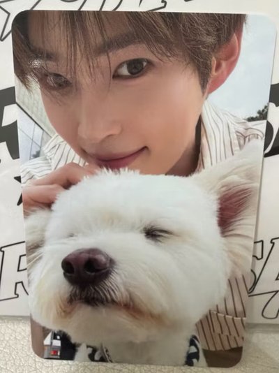 ZB1  團封 狗狗