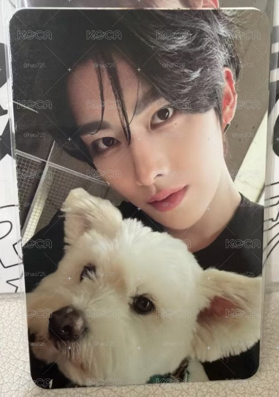 ZB1  團封 狗狗