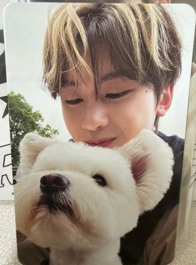 ZB1  團封 狗狗