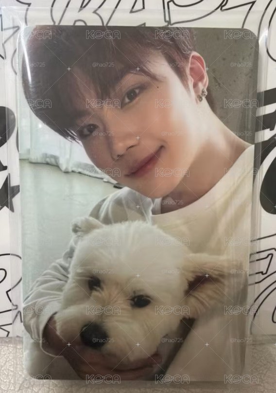 ZB1  團封 狗狗