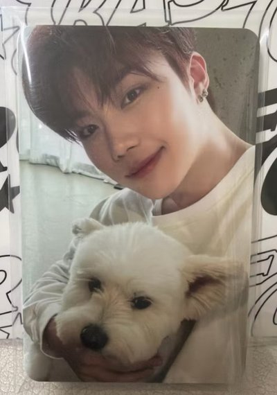 ZB1  團封 狗狗
