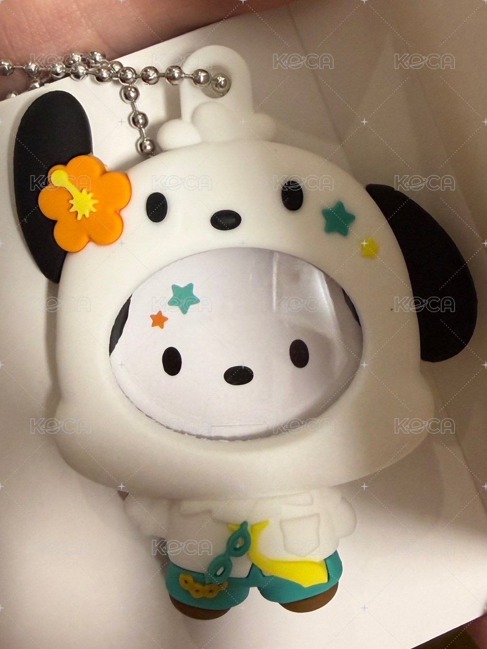 帕恰狗