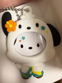 帕恰狗
