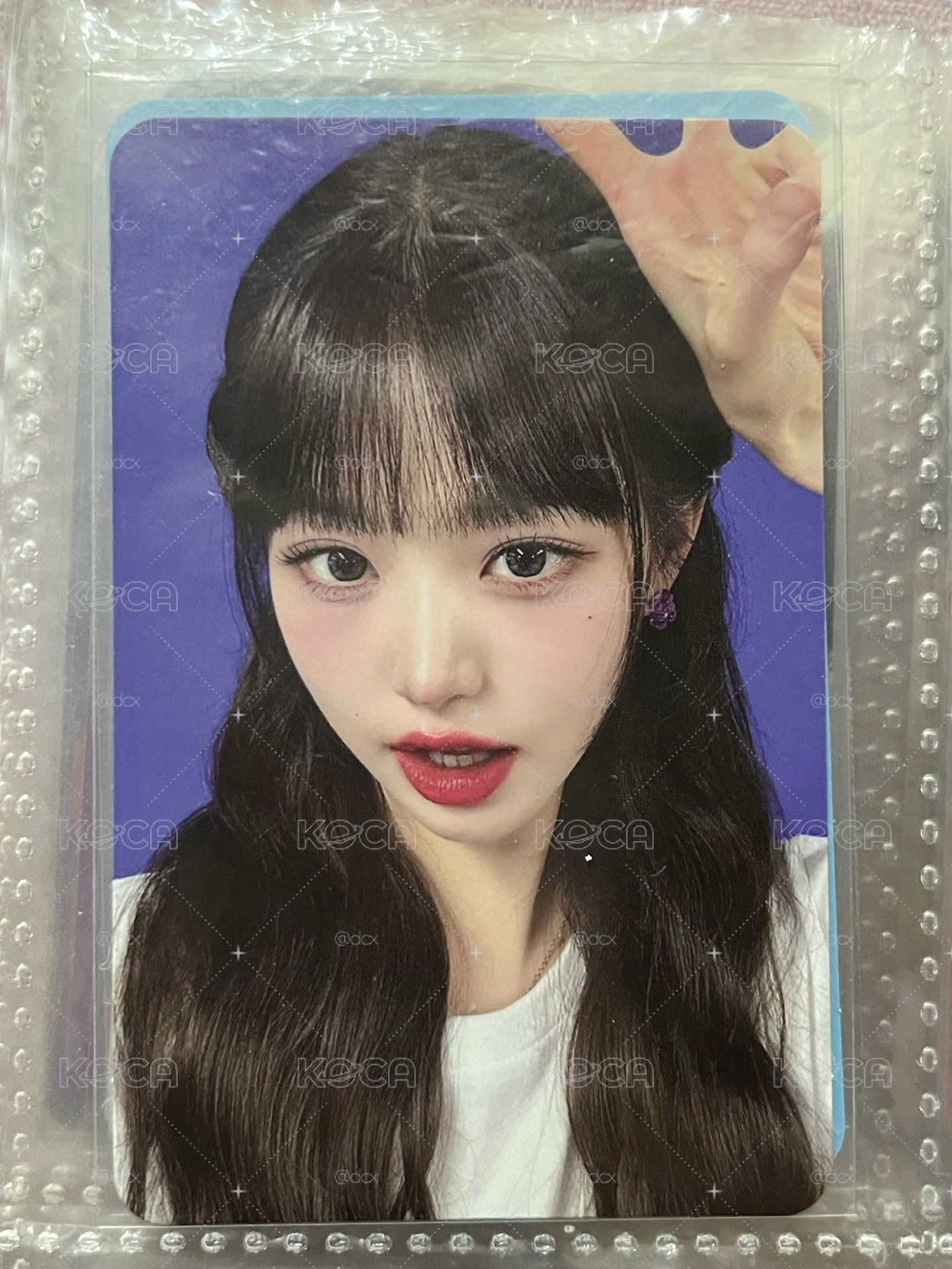 IVE 張員瑛 Wonyoung SHOW WHAT I HAVE 一巡DVD卡 兔耳員