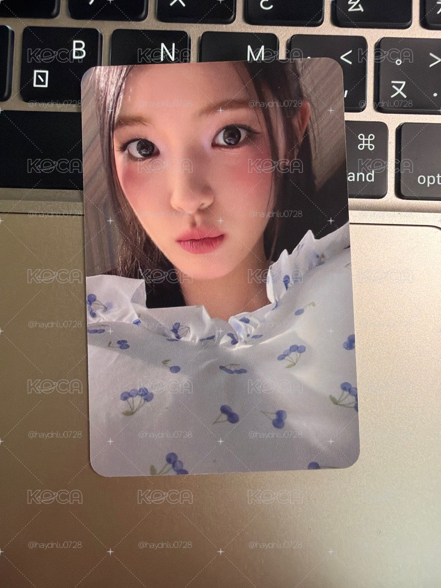 現貨當日出貨/Focus mr 特典卡 Yuha