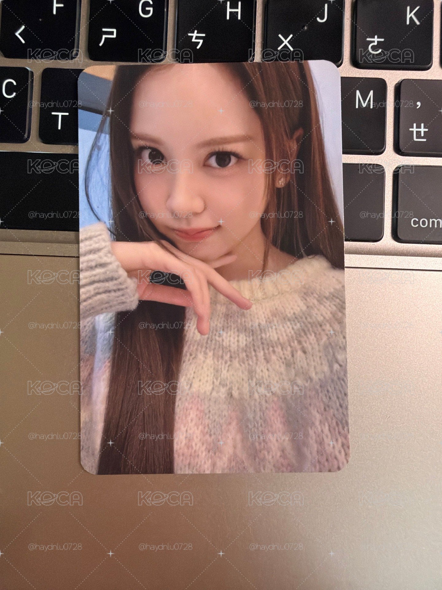 現貨當日出貨/Focus ms 簽售卡 卡門