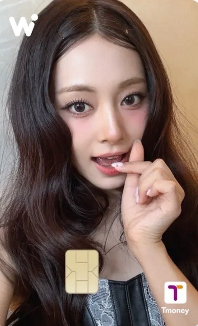 預購 (免包手）wowpass TWICE 韓安卡面