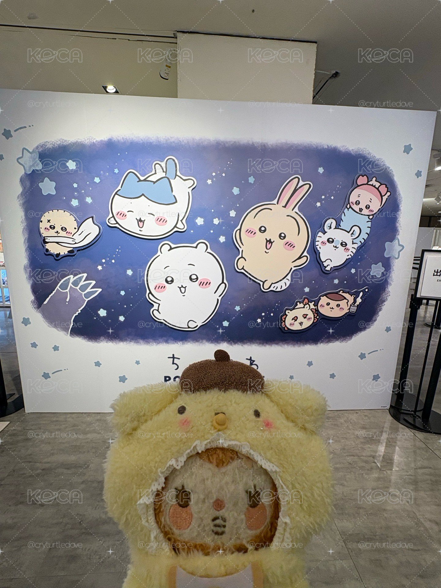 娃衣（沒有襪子）