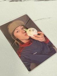 白球馬