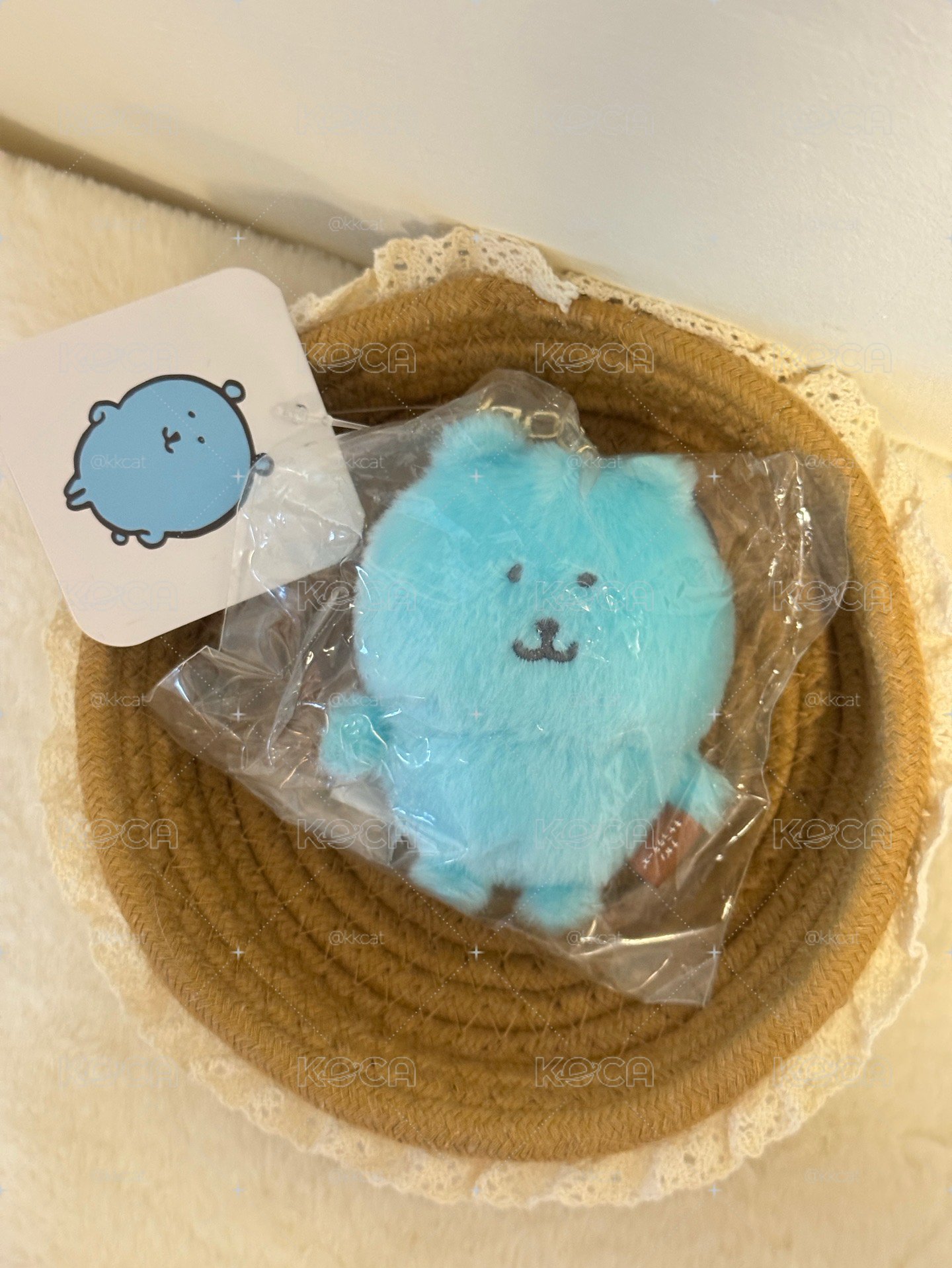 現貨.台灣限定湖水藍自嘲熊