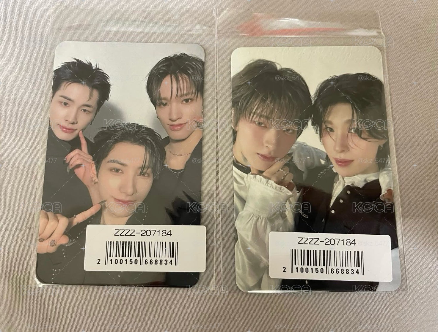 🐧🐿️+🐻‍❄️🐈‍⬛🦌特典卡