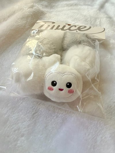 TWICE 多賢 DAVELY 手燈套 髮圈 新國立