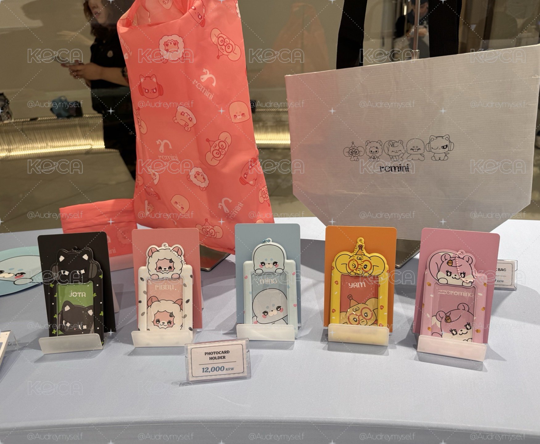 remini official merchandise 卡套 (組) 
