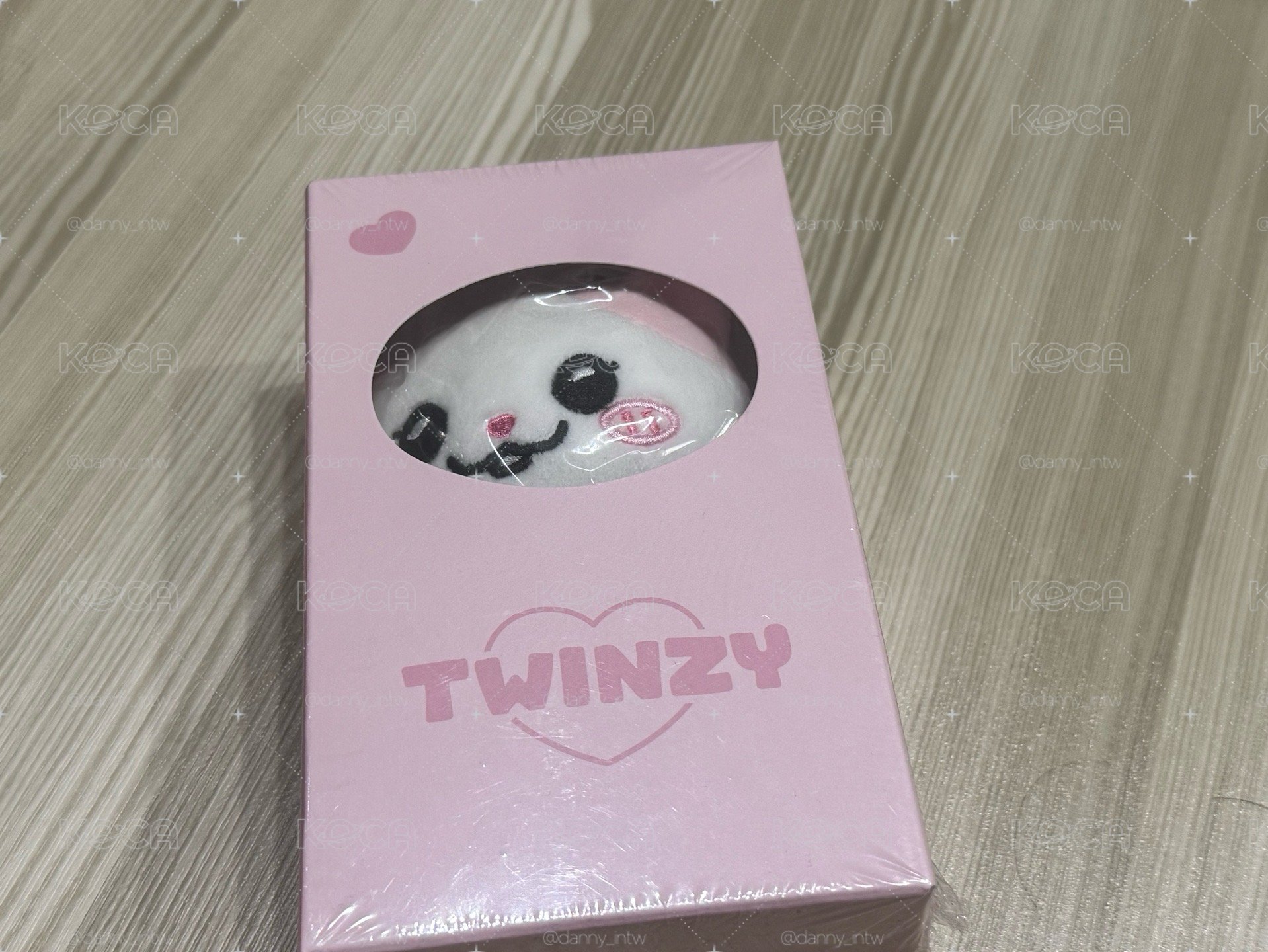 二巡 jyp TWINZY 15cm 中娃 NAong