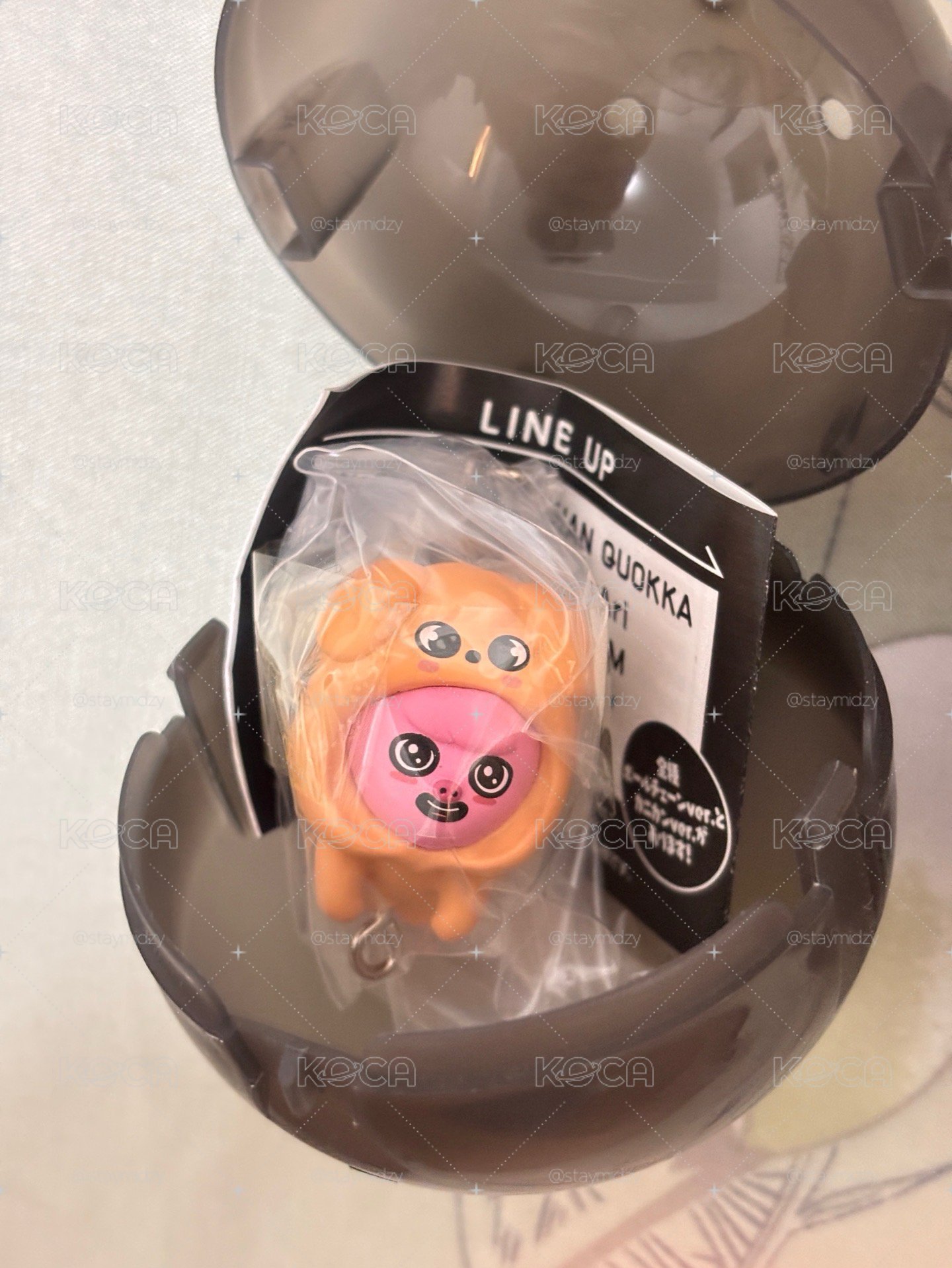 skzoo 彬玟 世界扭蛋 全新未拆袋