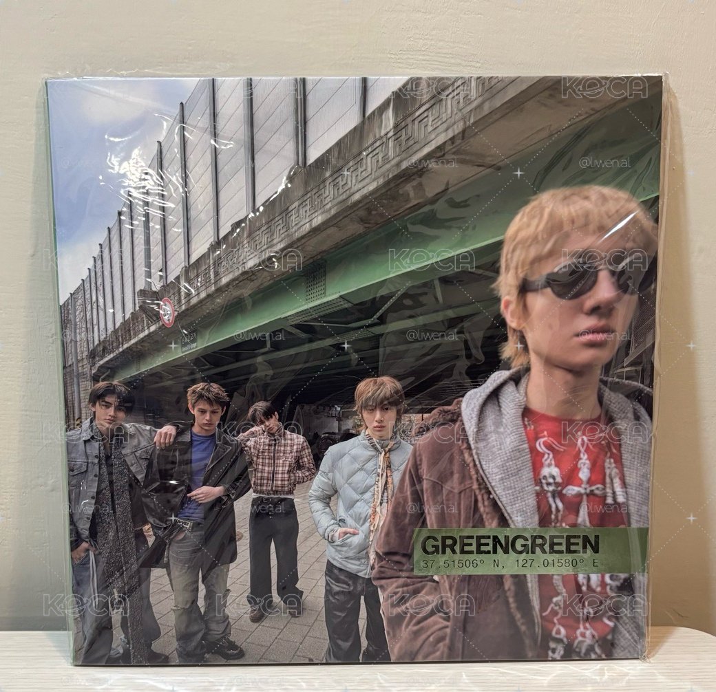 迷二 Vinyl 黑膠唱片 