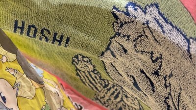 萬代 手帕 一番賞 Hoshi毛巾 確認款