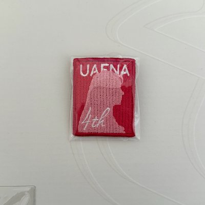 IU 4期會員別針