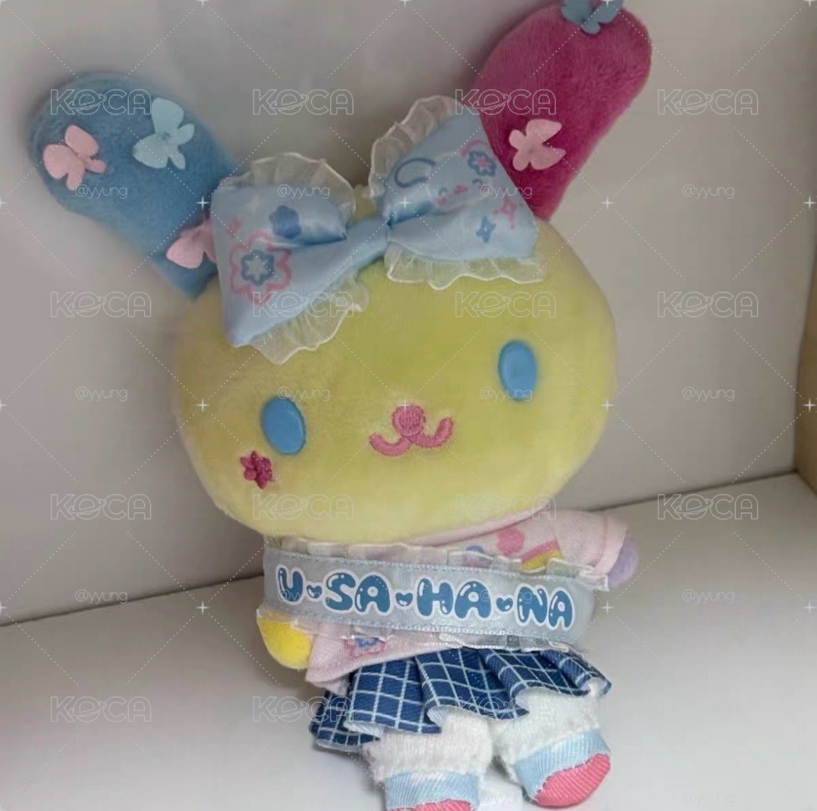 高校花小兔