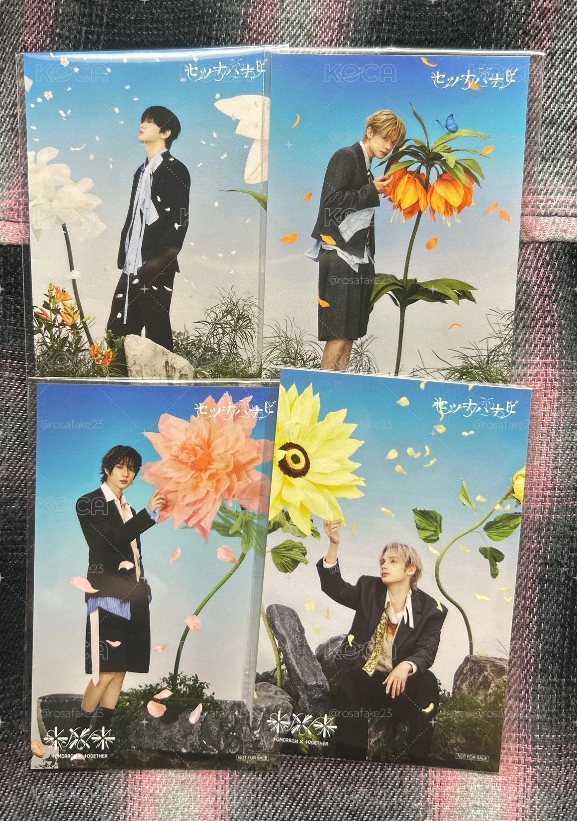 TXT 貼紙