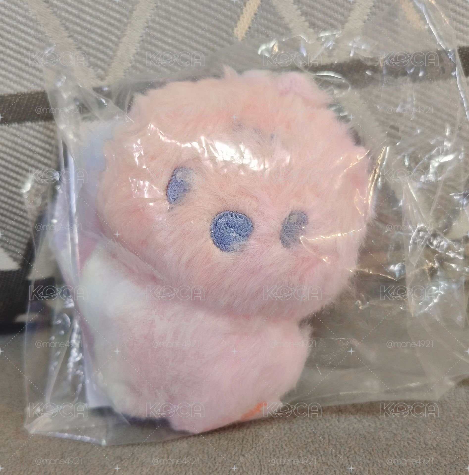 混色琦