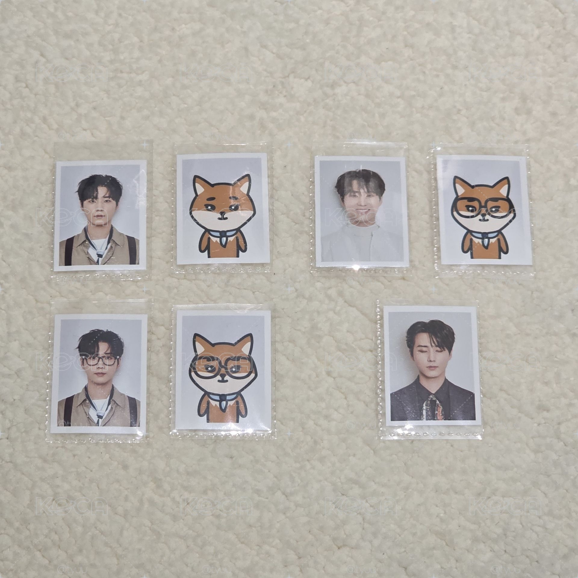 🦊證件照