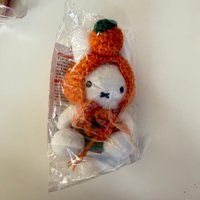 綠衣服橘子帽米菲