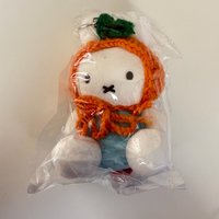 淺藍衣小草毛帽