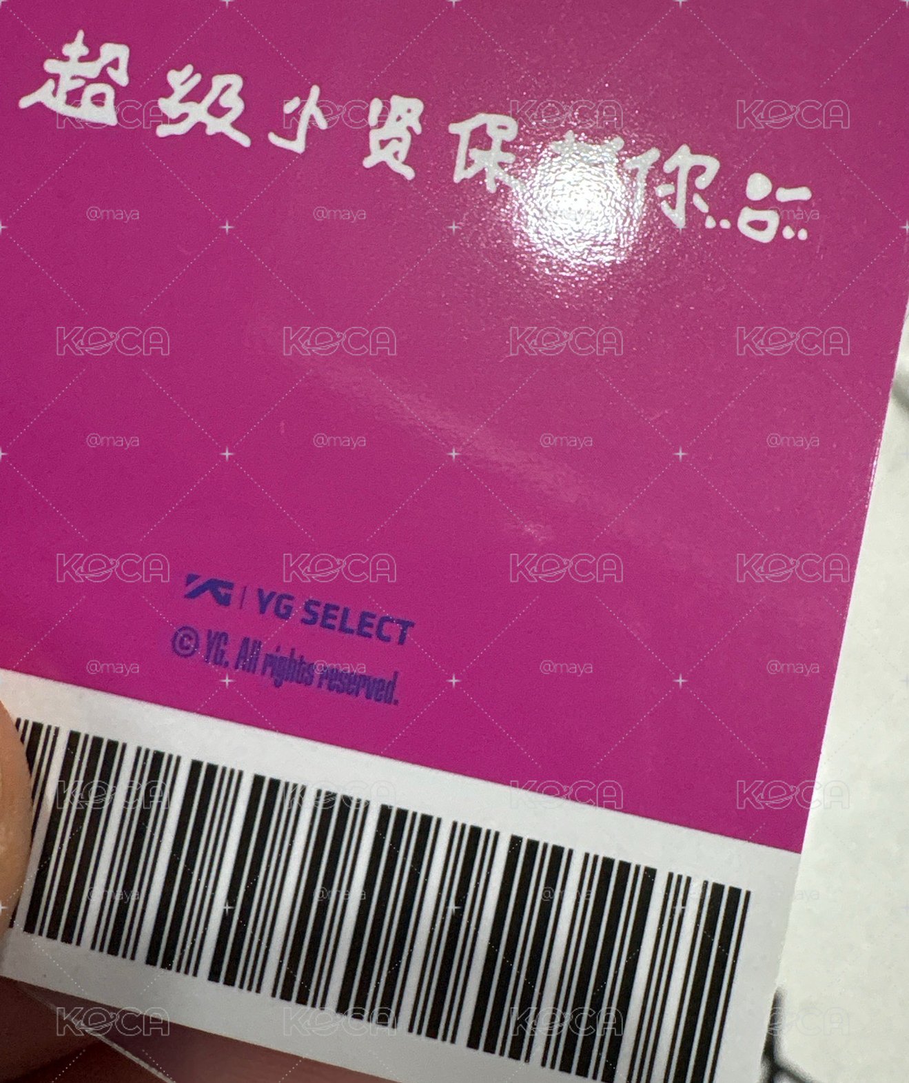 DRIP yg 中區賢 團封預售 特典卡 中背
