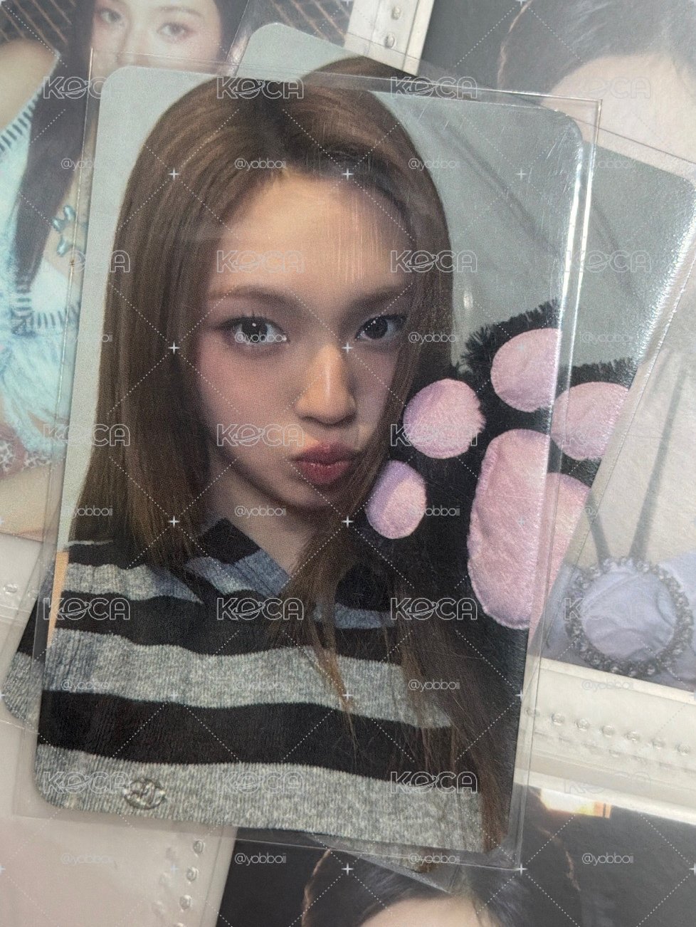 貓貓柒