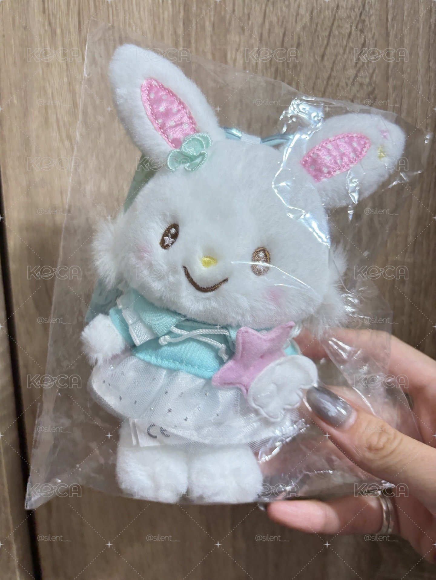 閃耀願望許願兔