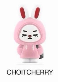 MINITEEN 公仔 