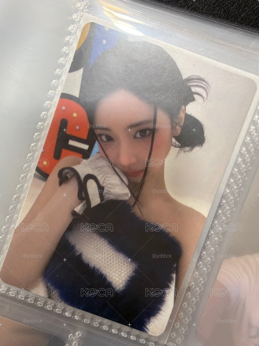 卡冊露