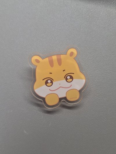 壓克力夾子