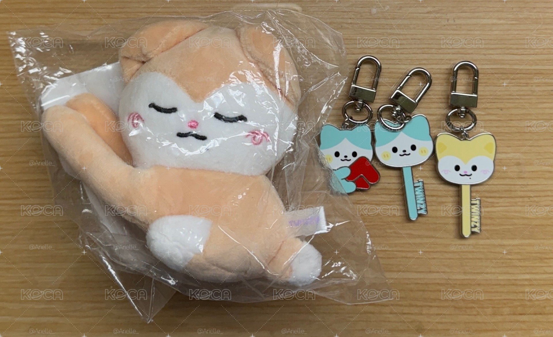2026 FM fans TWINZY 手燈套 RyeoWoo