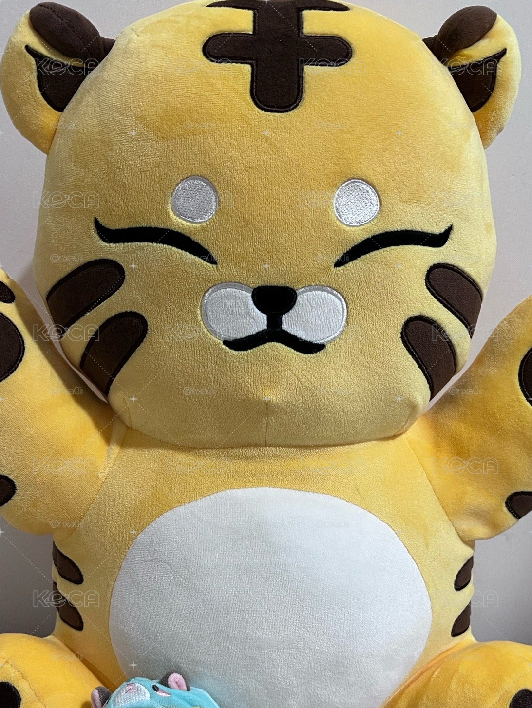 大眈眈