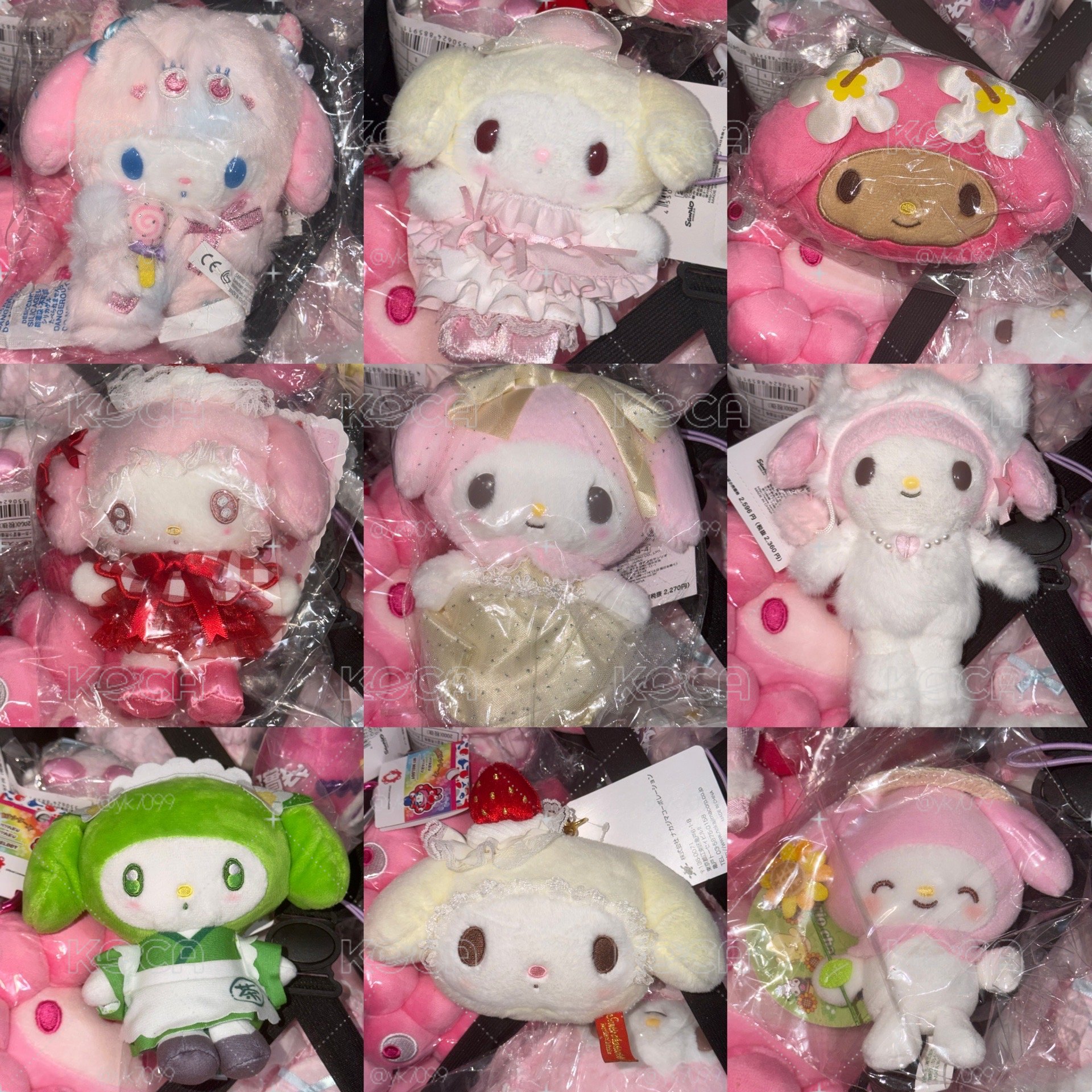 美樂蒂+彼安諾找新家（不定時更新）