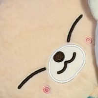 寅