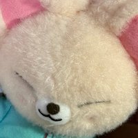寅