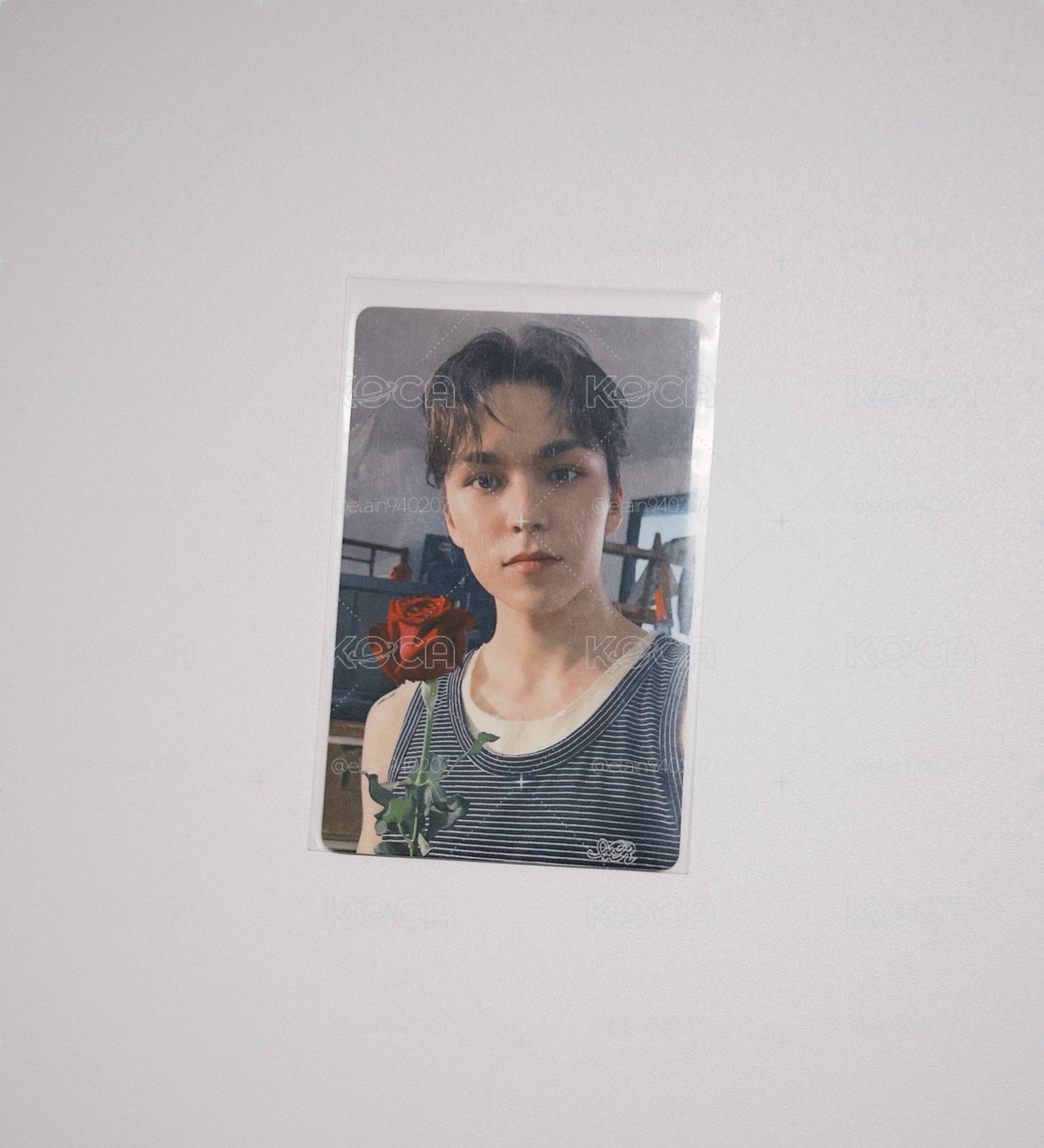 ⭐️玫瑰男友率🌹