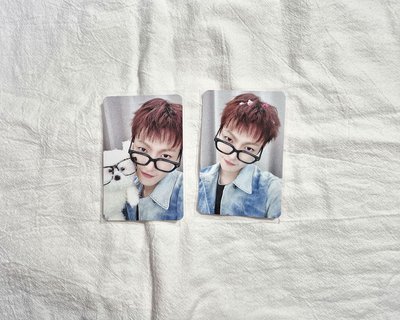 gh5 ms中 聰明小狗+髮夾ver