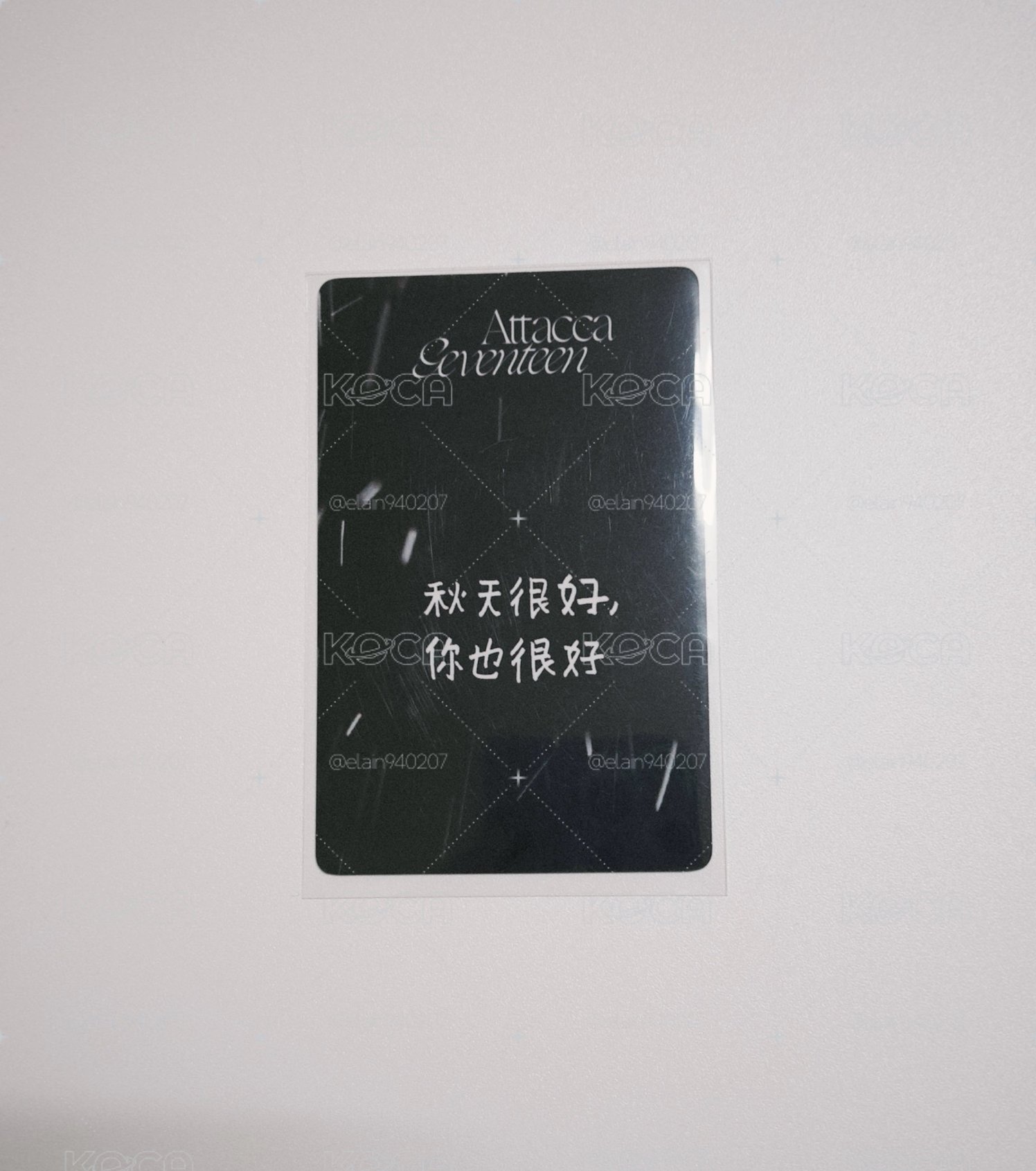 mini9中背
