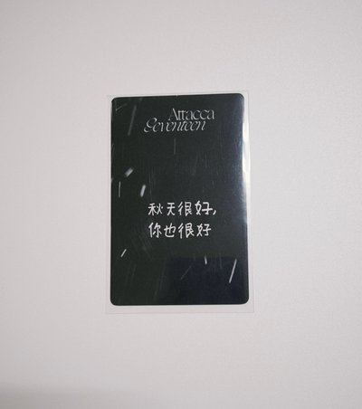 mini9中背