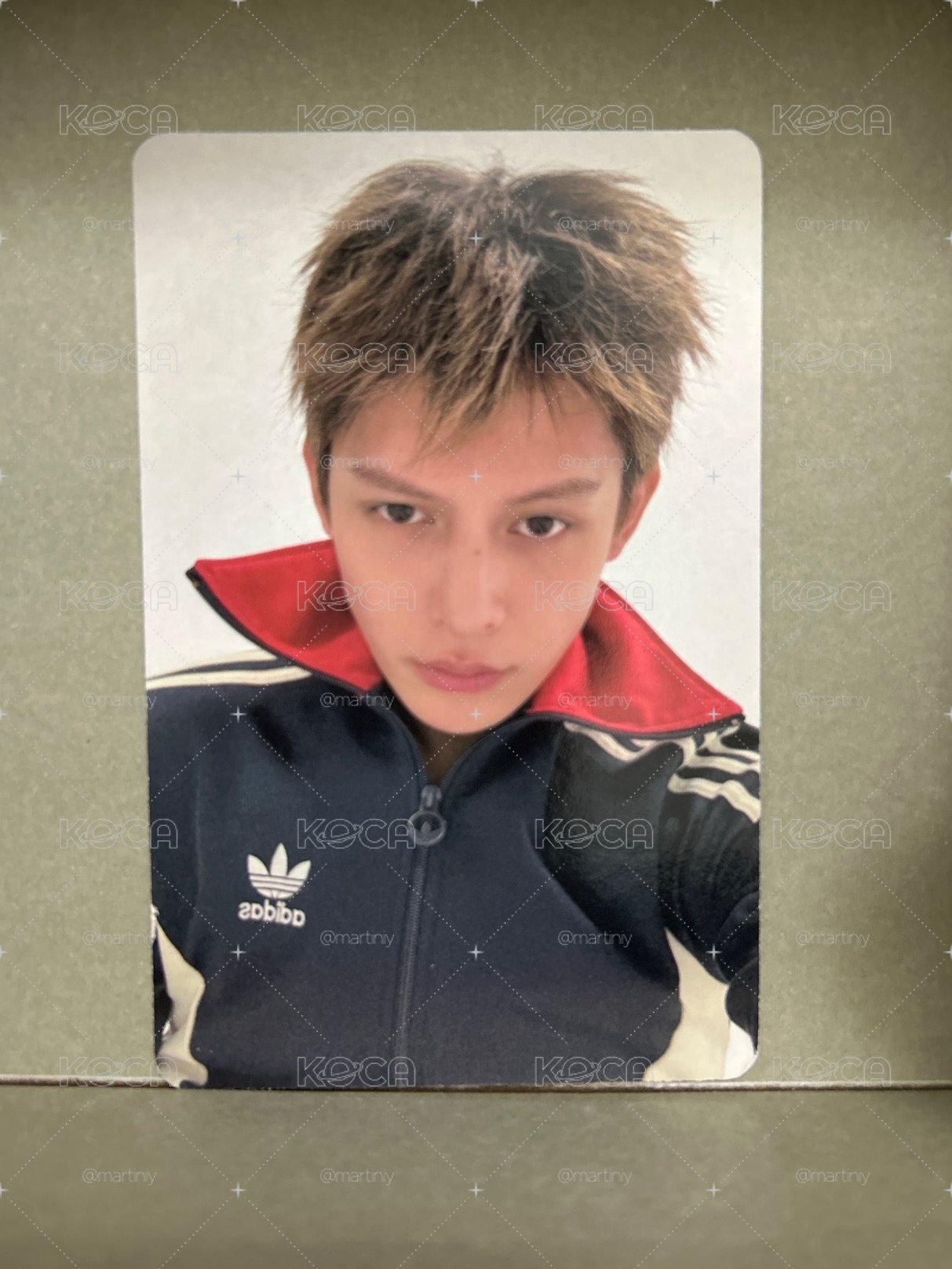 迷二 James 趙雨凡 專輯小卡