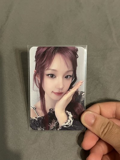 新加坡琦